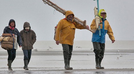 Allons pêcher la crevette