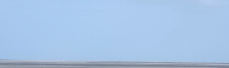 Journée Nationale du Cheval et concours de saut d'obstacles sur la plage