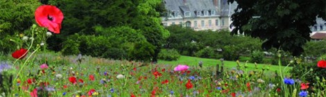 Visite des Jardins de Valloires jusqu'au 30 septembre