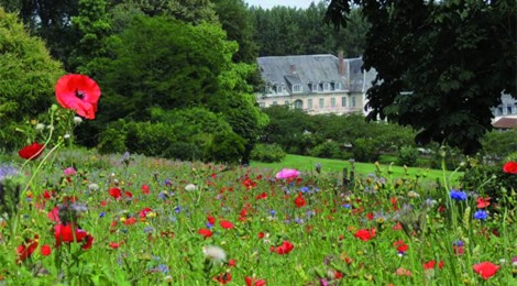 Visite des Jardins de Valloires jusqu'au 30 septembre