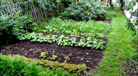 LES JARDINS NOURRICIERS DE LA PLUME