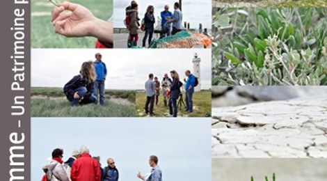 Découverte de la Pointe du Hourdel et de la colonie de phoques