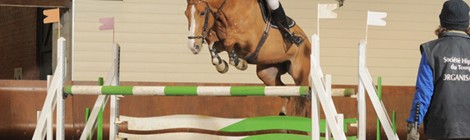 Concours de Saut d’Obstacles amateur et pro