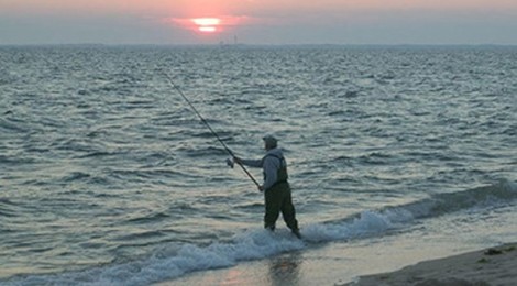 CONCOURS DE PÊCHE EN BORD DE MER
