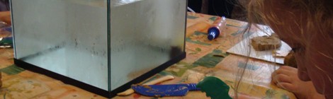 Atelier sculpture de poisson à l’argile.