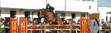 Concours de saut d’obstacles poney "Tournée des As"