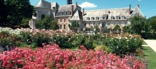Visite guidée et atelier sur les plantes vivaces.