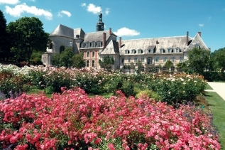 Visite guidée et atelier sur les plantes vivaces.