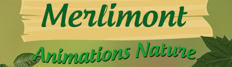 Sortie Pêche à pieds