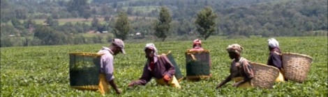 Soirée Figra "Le Business du Commerce Equitable",