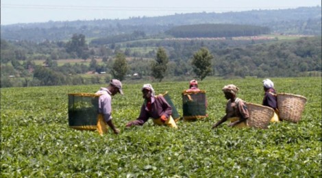 Soirée Figra "Le Business du Com­merce Equitable", 