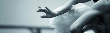 Spectacle "Gala d'étoiles".