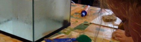 Atelier "Je sculpte mon poisson".