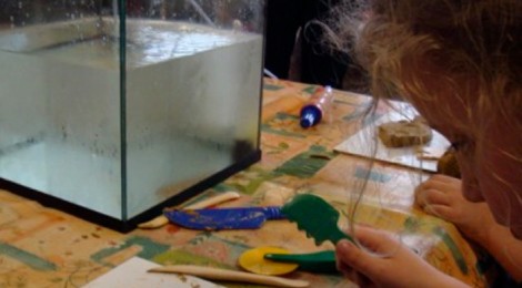 Atelier "Je sculpte mon poisson".