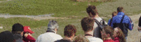 Balade Nature "Traversée de la baie de Somme"