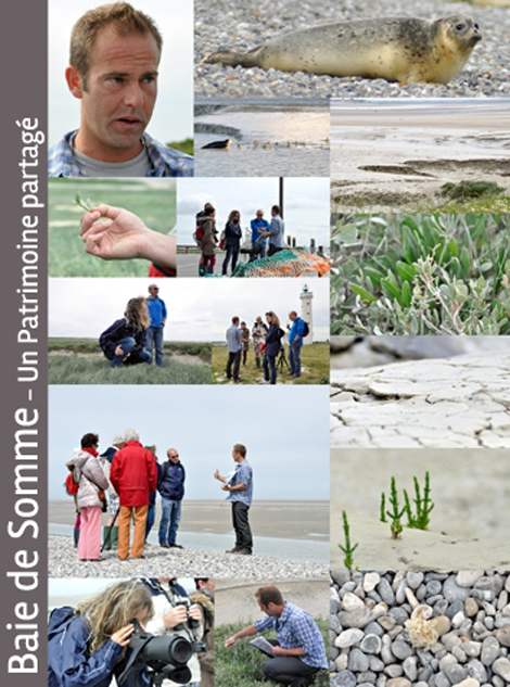 04 05 le hourdel balade phoques