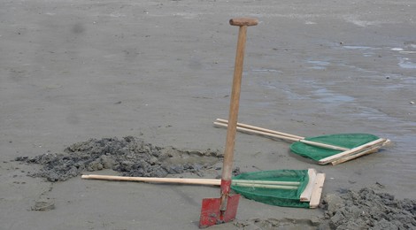 Balade nature "Découvrons la pêche à pied"