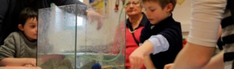 Atelier "Je sculpte mon poisson"