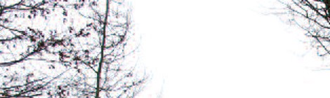 Aldebert : Enfantillages 2.