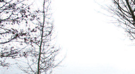 Aldebert : Enfantillages 2.