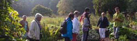 Rencontre avec un professionnel des passereaux
