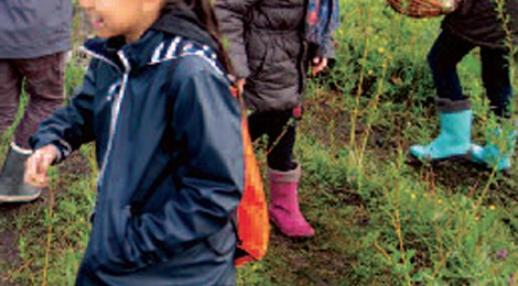 Sortie nature "La vie au fil de l’eau"