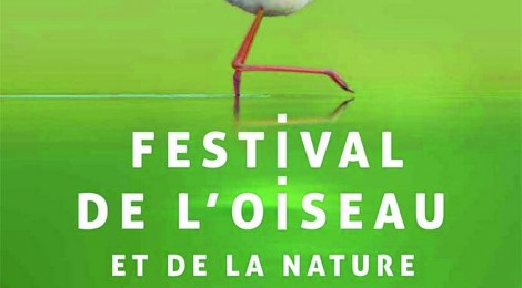 Laure Bruas, Rémi Damiens & Jacques Helot