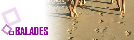 Visite Guidée du sentier Découverte.