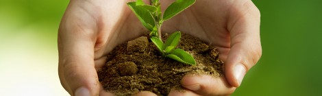 2ème Graine Trie dans le val de Trie.