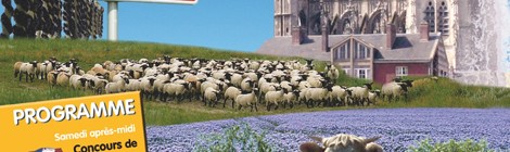 3ème édition de la Foire Agricole de Picardie Maritime