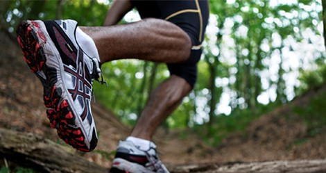 Trail de la Baie de Somme