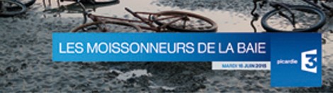 Les moissonneurs de la baie