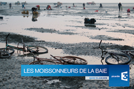 ABBEVILLE MOISSONNEURS