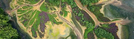 "Les Ailes de l'insolite" par le photographe Philippe Frutier