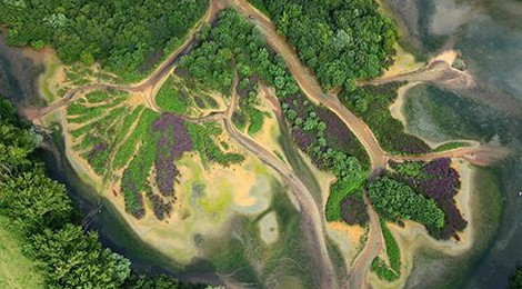 "Les Ailes de l'insolite" par le photographe Philippe Frutier