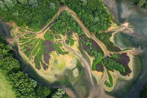 neuville Les Ailes de l'insolite