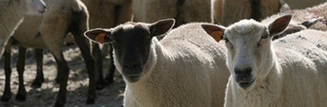 2ème Fête de la nature