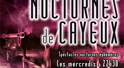 Les Nocturnes de Cayeux, 6ème édition.