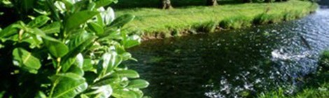 L'eau et la vie, l'eau est la vie !