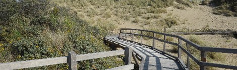 Visite Guidée du sentier "Découverte de la Dune Parabolique"