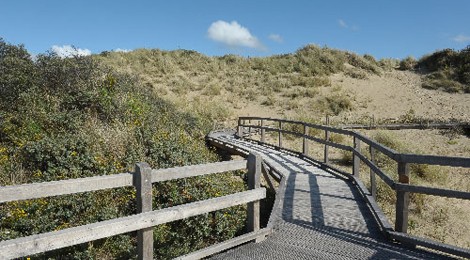 Visite Guidée du sentier "Découverte de la Dune Parabolique"
