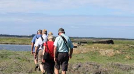 Rando découverte en baie d’Authie