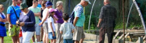 Balade accompagnée organisée par l’Office de Tourisme