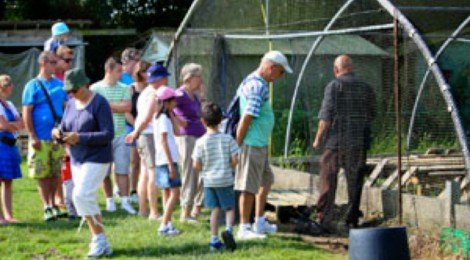Balade accompagnée organisée par l’Office de Tourisme