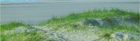 Sortie nature "Enquête sur une disparition" par le service Animation Nature