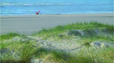 Sortie nature "Enquête sur une disparition" par le service Animation Nature