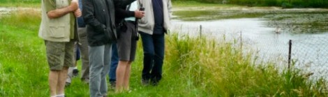 Balade accompagnée, dans une partie du sentier du petit marais, pour atteindre une hutte de chasse.