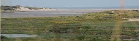 Sortie nature "Enquête sur la plage" par le service Animation Nature