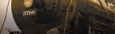 Les Nocturnes de Cayeux, 6ème édition