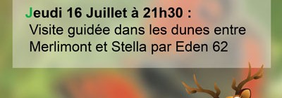 Visite Guidée dans les dunes entre Merlimont et Stella par Eden 62